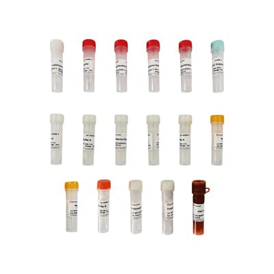 Click-iT 647 Tunel Cell Apoptose Detection Kit