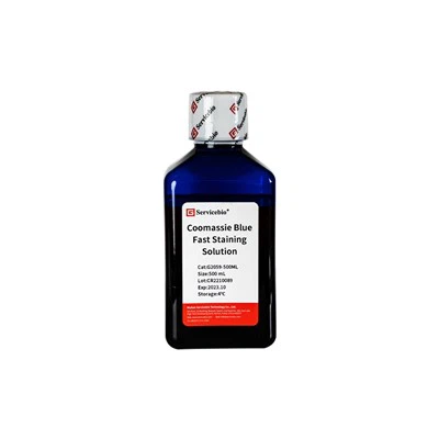 Coomassie Brilliant Blue Ultrafast Staining
